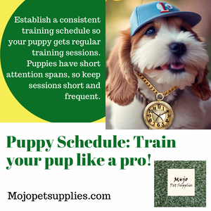 Puppy Training Tip
