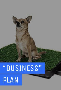 Welcome to your Dog's "Business" Plan