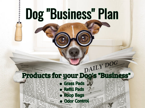 Dog's "Business" Plan | Mojopetsupplies.com