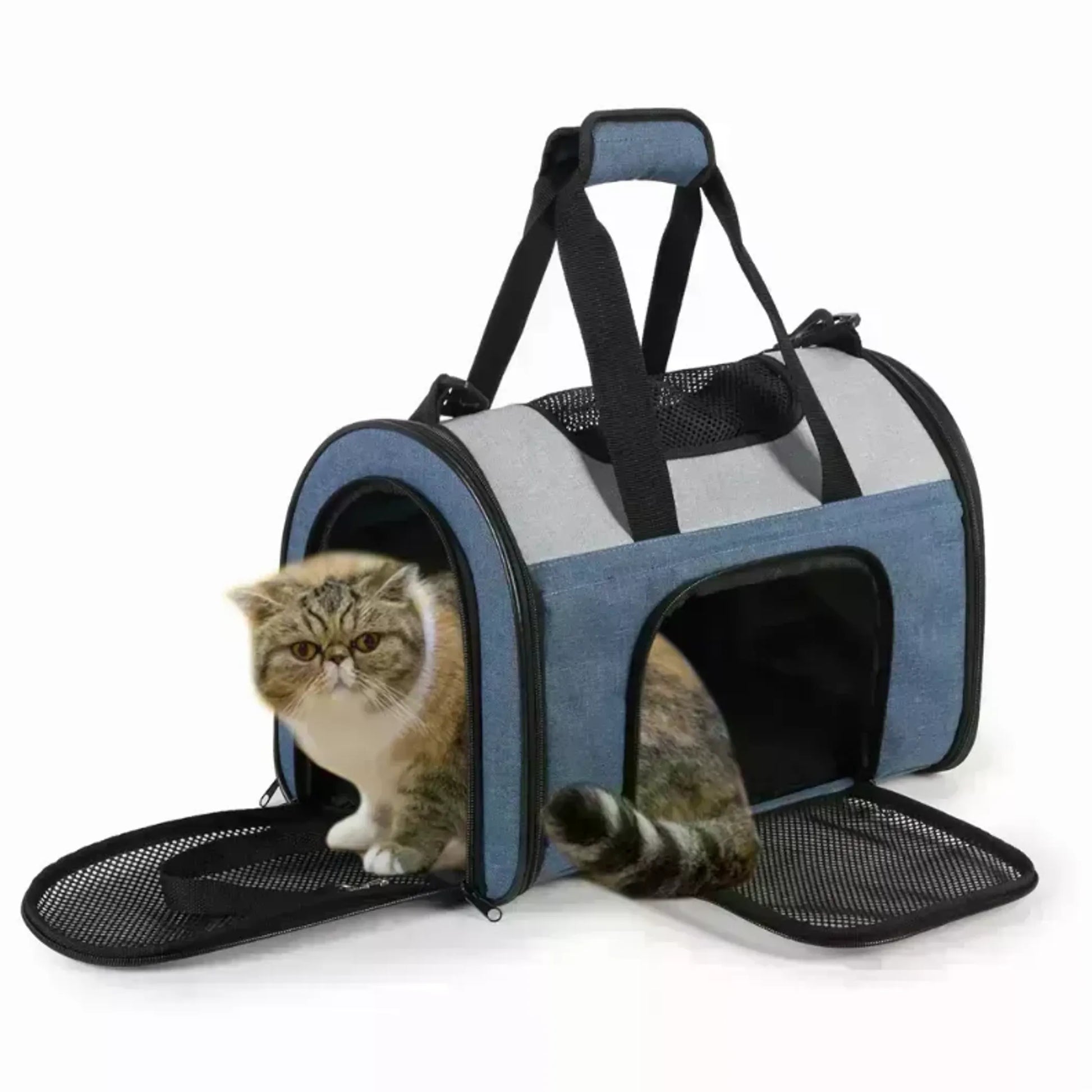 JESPET Soft-Sided Kennel Pet Carrier for Small Dogs, Cats, and Puppies, airline-approved, collapsible design