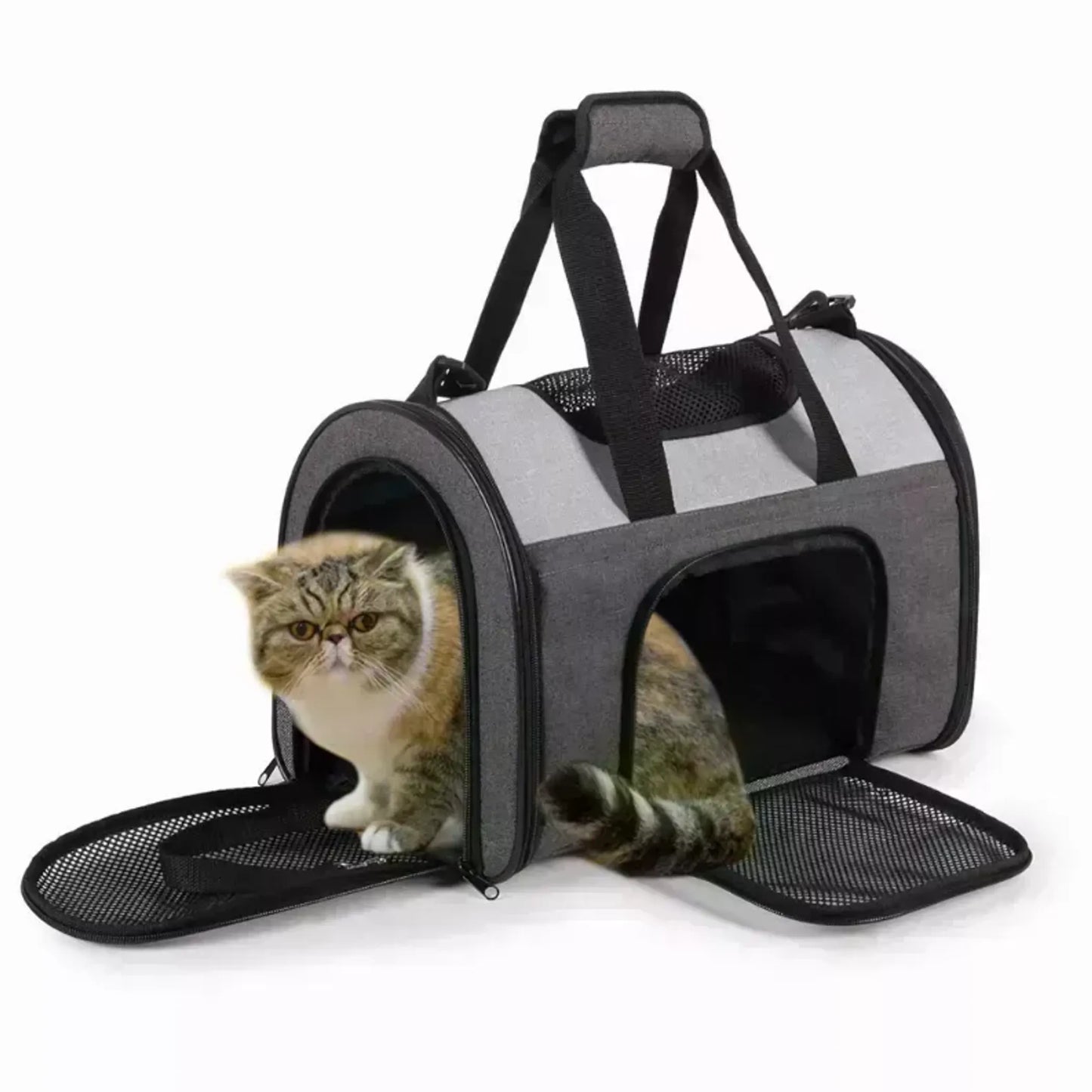 JESPET Soft-Sided Kennel Pet Carrier for Small Dogs, Cats, and Puppies, airline-approved, collapsible design