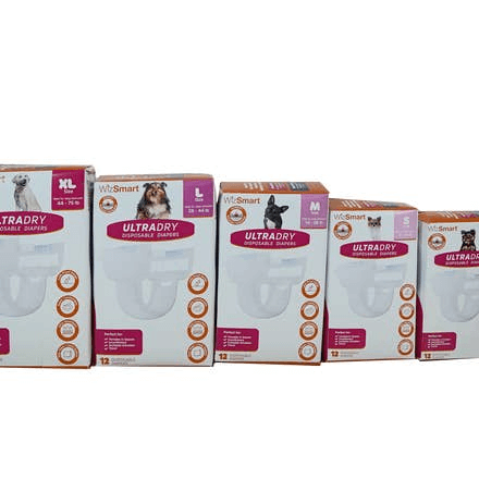 WizSmart UltraDry Disposable Diapers