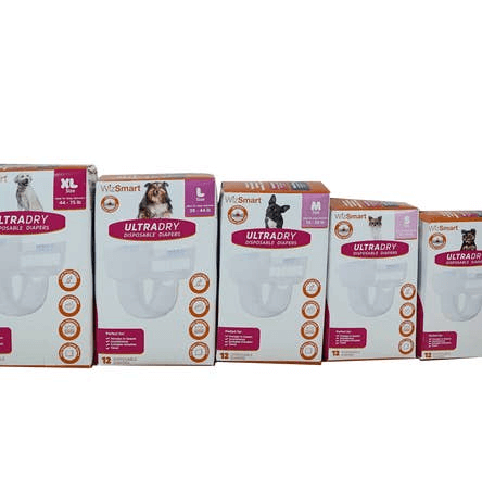 WizSmart UltraDry Disposable Diapers