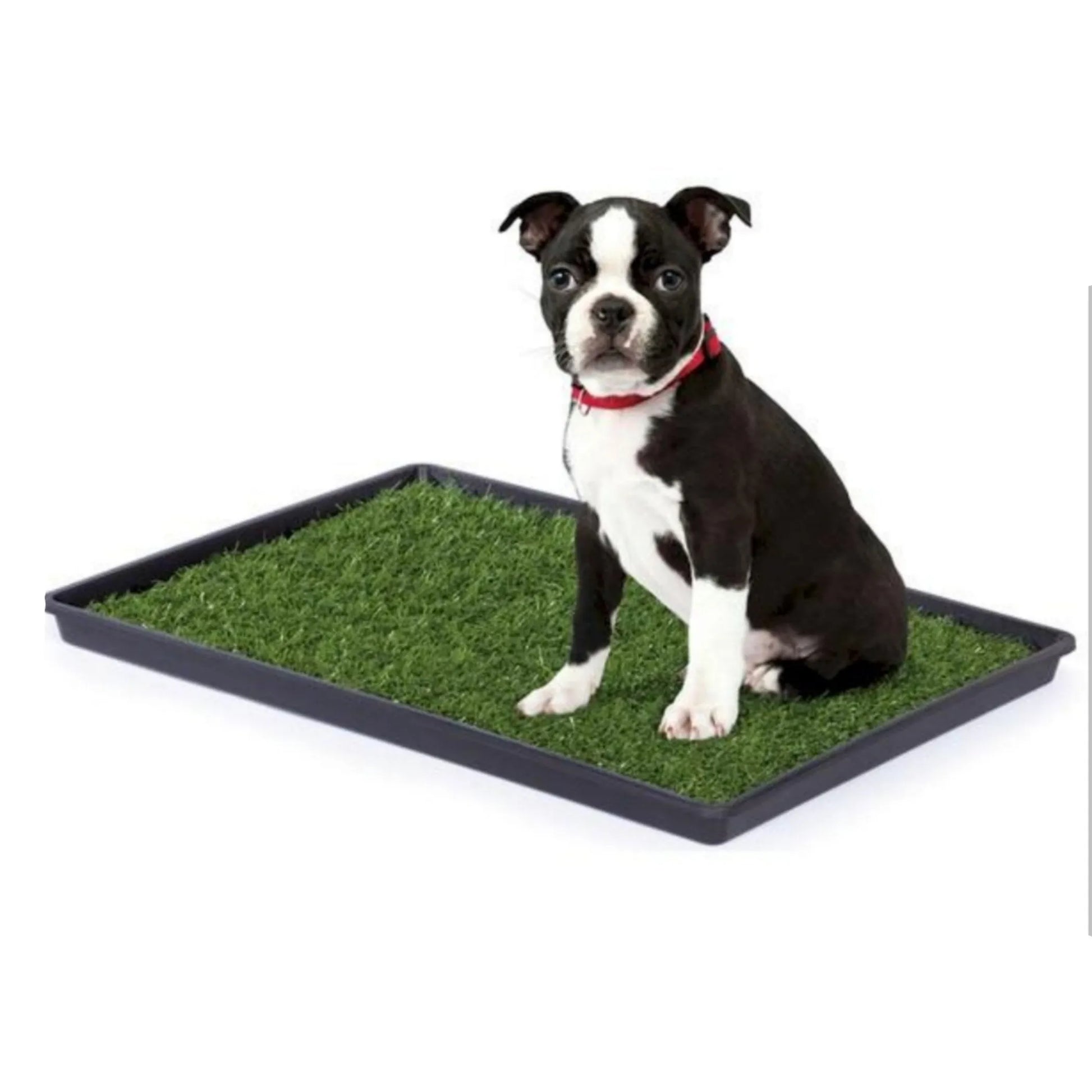 Mr. Peanut's Potty Place - Artificial Grass Puppy Pad, a realistic and reusable potty solution for dogs and small pets