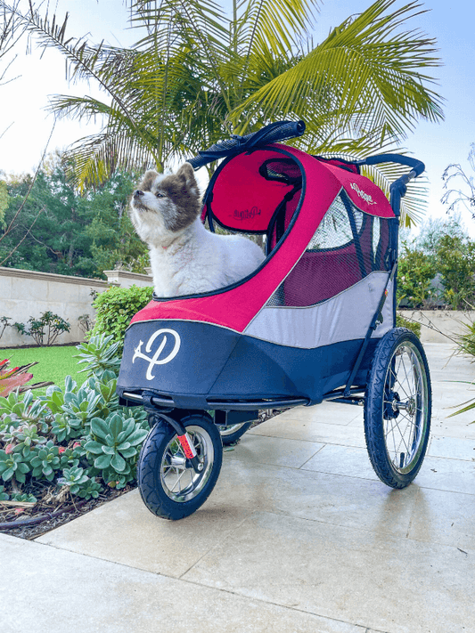 Trailblazer Pet Stroller Jogger