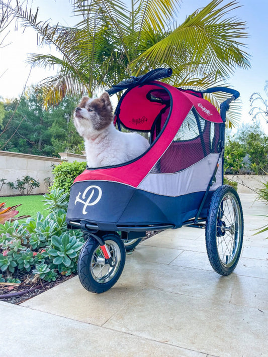 Trailblazer Pet Jogger, a sturdy and comfortable pet stroller designed for outdoor adventures