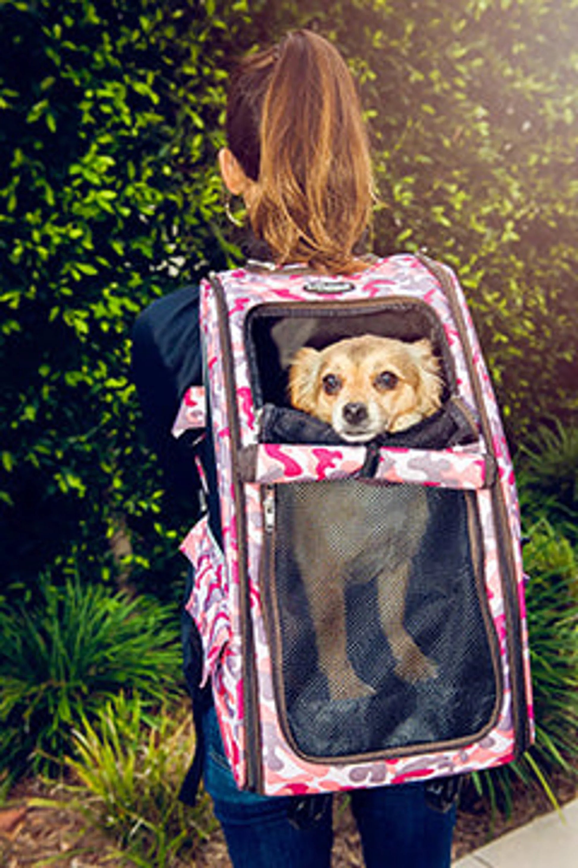 5-in-1 Pet Carrier, a versatile and multifunctional carrier for pets that can be used as a backpack, tote, car seat, and more for easy transport