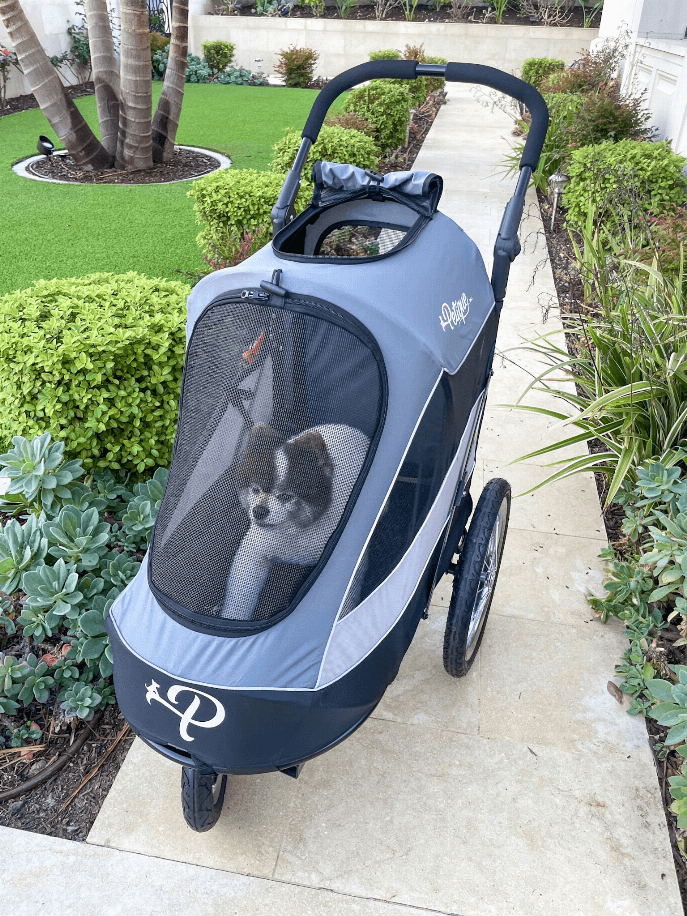 Trailblazer Pet Stroller Jogger