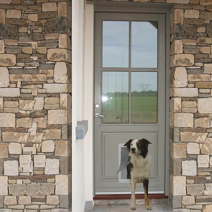 Extra Large Plastic Pet Door