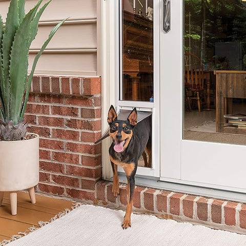 PetSafe Sliding Glass Cat and Dog Door Insert - Great for Rentals and Apartments - Small Pets -No Cutting DIY Installation