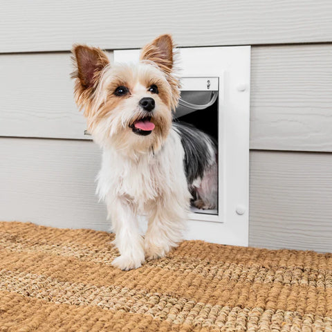 Wall Entry Pet Door with Telescoping Frame