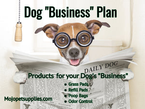 Dog's "Business" Plan