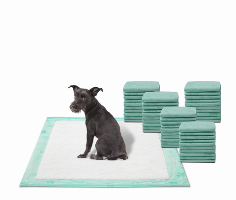 50 count of dog pads