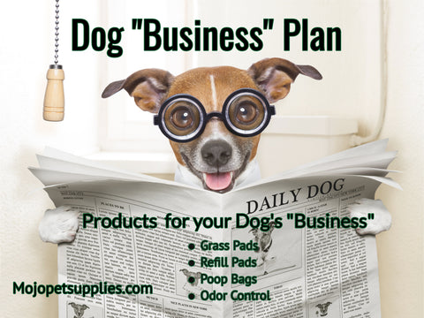 Business plan bundle Small - Mojopetsupplies.com