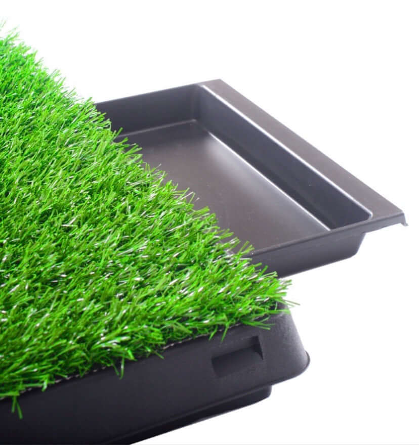 3 Piece Dog Potty Grass with Draining Tray Medium