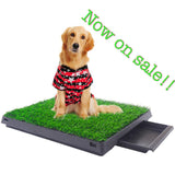Dog Grass Potty with Draining Tray Indoor/Outdoor