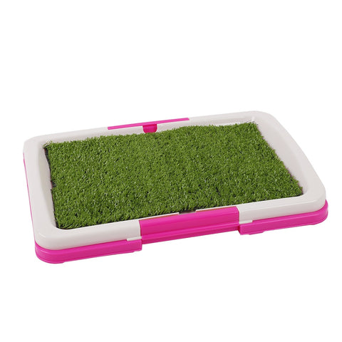 Grass training tray