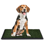 30" X 20" Pet Potty Training Toilet Grass Mat Litter Boxes for Large Medium Small Dog PS6218